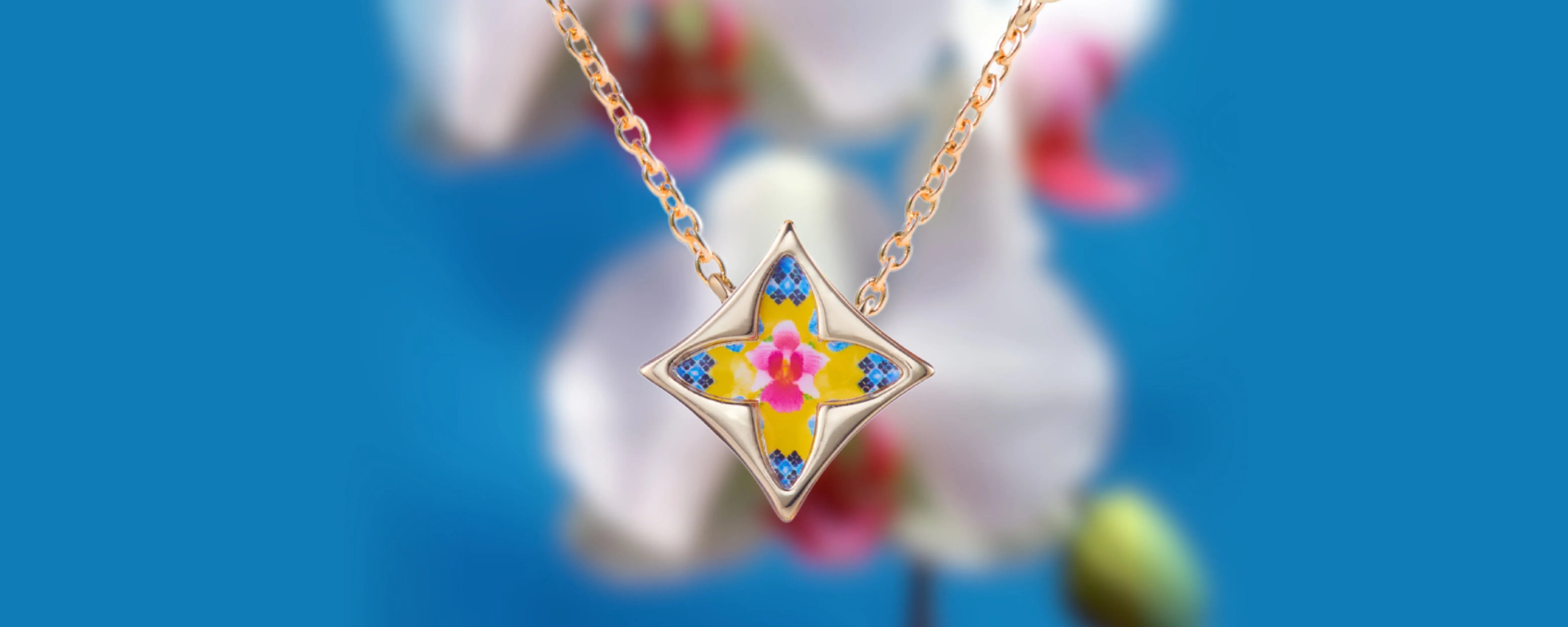 Vanda Collection